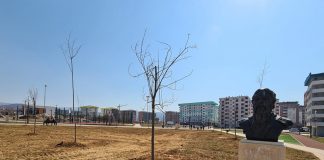 Донацијом ЈП “Србијашуме“ Источно Сарајево богатије за 105 садница