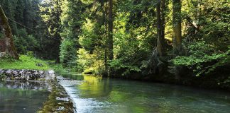 Извор Биоштице – мир у природи