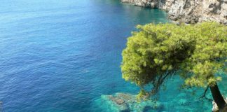 Љетовање ове године скупље и до 50%