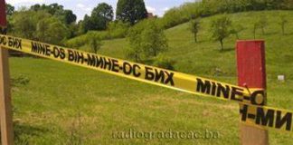 Deminiranje na području Grlice i Vojkovića