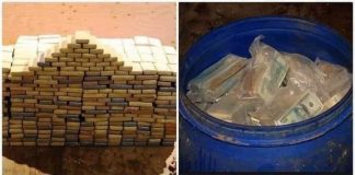 Našao 600.000.000 miliona dolara u buradima