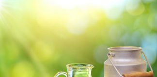 Mljekari udruženja „Blago Romanije“ stižu podsticaji