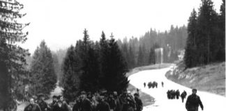 Срби заборавили побједу, па је поражени славе као своју побједу – ГЛАС РЕГИЈЕ.057