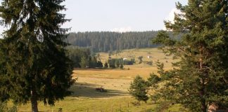 План изградње етносела „Соколовград“ на Равној Романији – ГЛАС РЕГИЈЕ.057