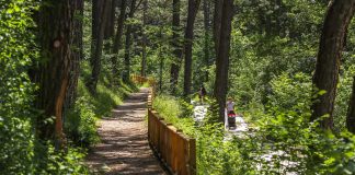 Требевић проглшен Парком природе – ГЛАС РЕГИЈЕ.057
