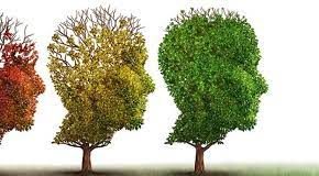 Ментално здравље је подједнако важно као и физичко – ГЛАС РЕГИЈЕ.057