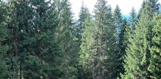 Пале: Еко-теретана на Голом Корану – ГЛАС РЕГИЈЕ.057