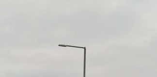 Источно Ново Сарајево – планска садња алејног и парковског дрвећа – ГЛАС РЕГИЈЕ.057