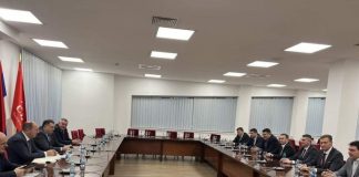 Ћосић: Нисмо сагласни али гласаћемо искључиво због Републике Српске и њених интереса и позиције у оквиру БиХ