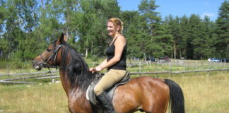 Шта би са Борикама и Гадафијевим седлом? – ГЛАС РЕГИЈЕ.057