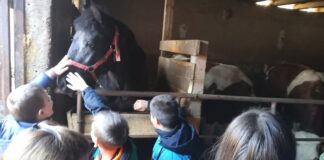 Ученици из Тилаве на часовима у природи – ГЛАС РЕГИЈЕ.057