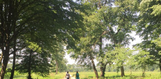 Данас је Свјетски дан шума ! – ГЛАС РЕГИЈЕ.057