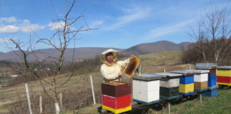 Радослав Јанковић, пчелар из Ковања – ГЛАС РЕГИЈЕ.057