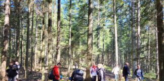 На Беговини засађено 1000 садница смрче – ГЛАС РЕГИЈЕ.057