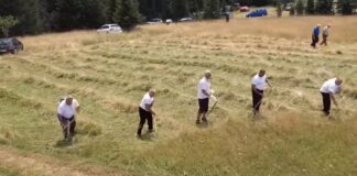 Моба кошења на имању Драгољуба Васковића – ГЛАС РЕГИЈЕ.057