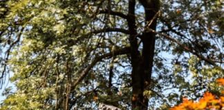 У Сарајево јуче враћен један Србин, фали још „само“ 156999 – ГЛАС РЕГИЈЕ.057