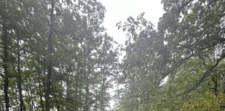 ШГ „Романија“ настављају са асфалтирањем шумских и сеоских путева – ГЛАС РЕГИЈЕ.057