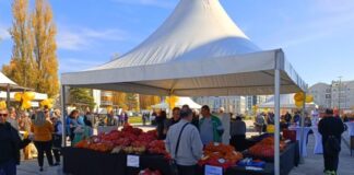 Данас изложба “Дан рогатичког кромпира и романијског скоруп-кајмака“- ГЛАС РЕГИЈЕ.057