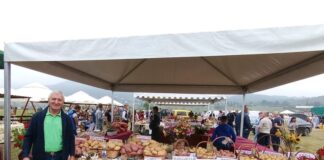 Џида: „Увоз кромпира гуши домаћу производњу“ – 057.ГР