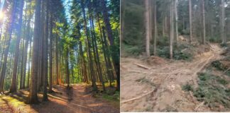 Ко уништава Голи Коран код Пала? Од излетишта до катаклизме – 057.ГР