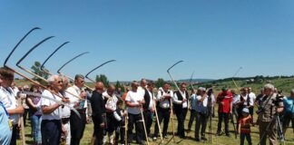 “Dan kosidbe” na Romaniji na Petrovdan – 057.GR