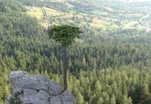 Мјесто гдје се укрштају историјске легенде и нетакнута природа – 057. ГР