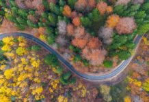 Асфалтирана дионица пута Бећари-Мангурићи дужине 665 метара – 057. ГР