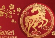 У Кини почела грозница поводом нове године – 057. ГР